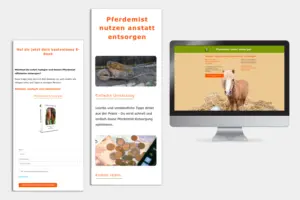 Responsives Mockup der Landingpage mit Opt-in-Formular und E-Book-Teaser.
