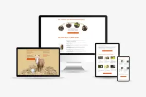 Landingpage und Content-Sektionen auf Desktop, Tablet und Smartphone.