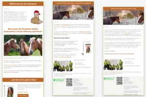 Drei Newsletter-Layouts: Willkommensmail, Infomail und Angebotsmail zum E-Book-Leadmagnet.